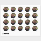 Moose Ronde Sticker (Vel)