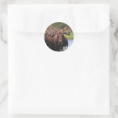 Moose Ronde Sticker (Tas)