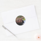 Moose Ronde Sticker (Envelop)
