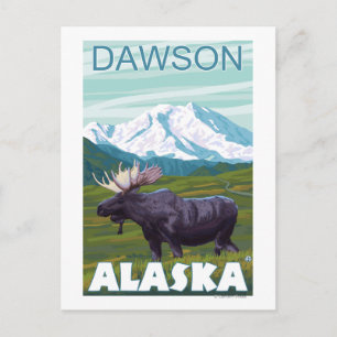 Moose Scene - Dawson, Alaska Briefkaart