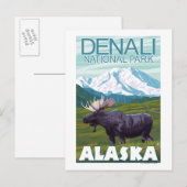 Moose Scene - Denali National Park, Alaska Briefkaart (Voorkant / Achterkant)