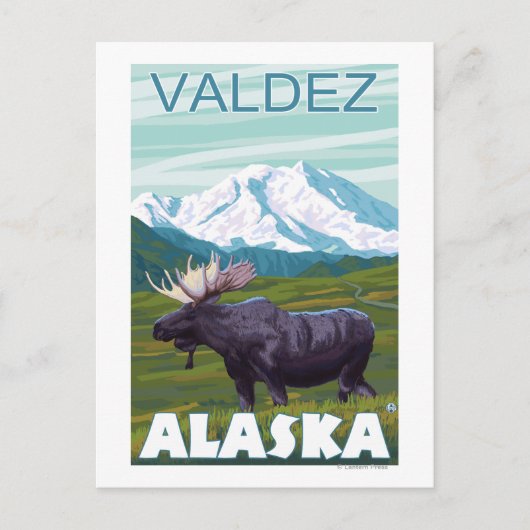 Moose Scene - Valdez, Alaska Briefkaart (Voorkant)