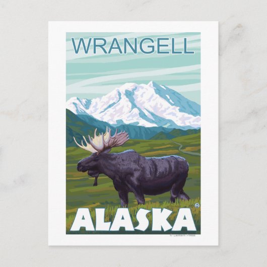 Moose Scene - Wrangell, Alaska Briefkaart (Voorkant)