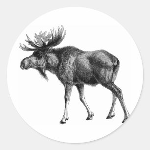 Moose Shirten en geschenken 112 Ronde Sticker