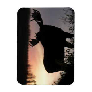 Moose silhouet magneet