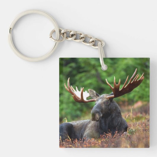 Moose Sleutelhanger (Voorkant)