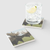 Moose Stenen Onderzetter (Zijkant)