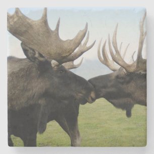 Moose Stenen Onderzetter