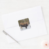 Moose - Stickers voor enveloppen (Envelop)