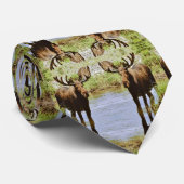 Moose Stropdas (Opgerold)