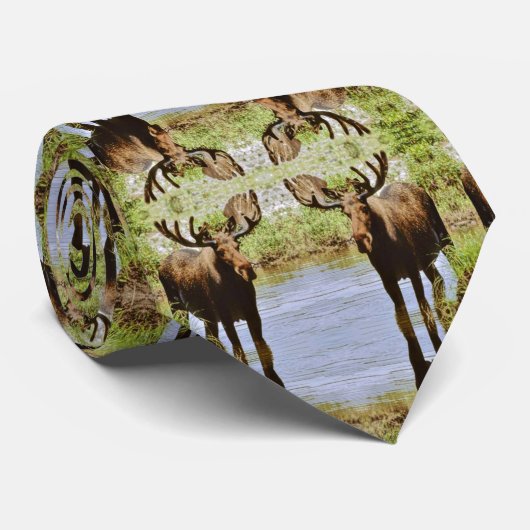 Moose Stropdas (Opgerold)