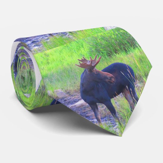 Moose Stropdas (Opgerold)