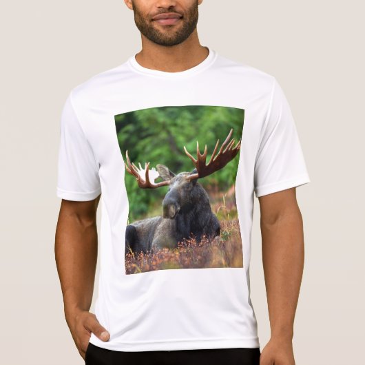 Moose T-Shirt (Voorkant)