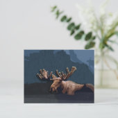 Moose Talk Briefkaart (Staand voorkant)
