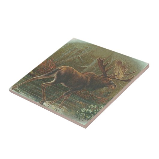 Moose Tegeltje (Zijkant)