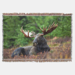 Moose Throw Blanket Deken