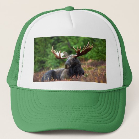 Moose Trucker Pet (Voorkant)