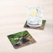 Moose Vierkante Kartonnen Onderzetter (Insitu)