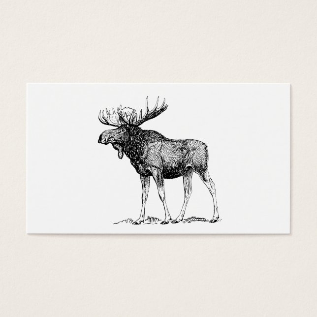 Moose Visitekaartje (Voorkant)