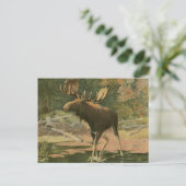 Moose Walting in Water Briefkaart (Staand voorkant)