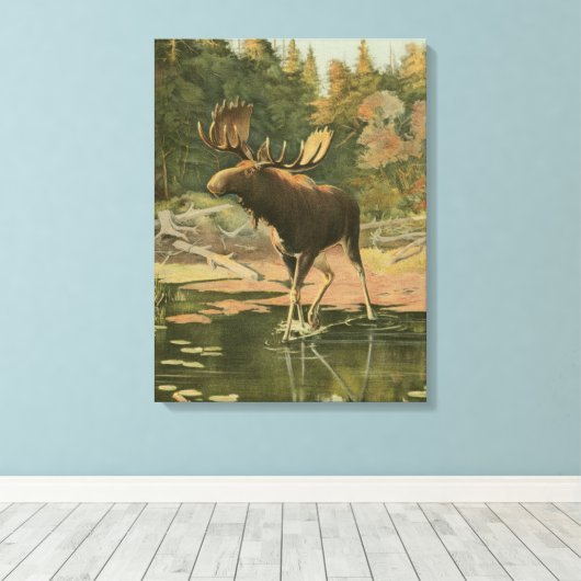 Moose Walting in Water Canvas Afdruk (Insitu (Houten vloer))