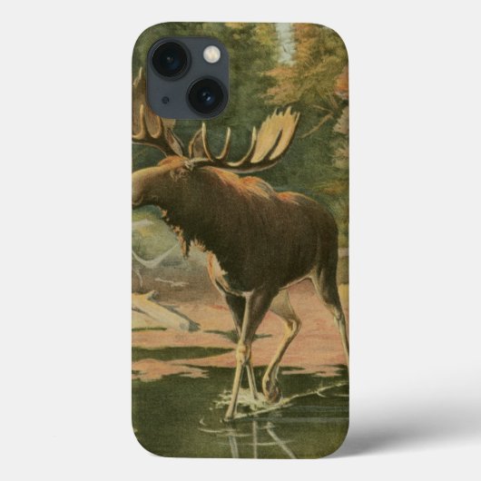 Moose Walting in Water Case-Mate iPhone Case (Achterkant)