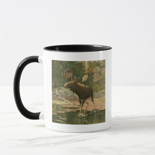 Moose Walting in Water Mok (Links)