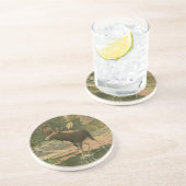 Moose Walting in Water Zandsteen Onderzetter (Zijkant)