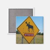 Moose Warning Sign Magneet (Voorkant / Achterkant)
