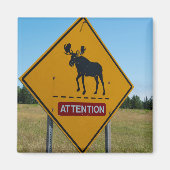 Moose Warning Sign Magneet (Voorkant)