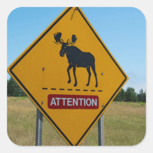 Moose Warning Sign Vierkante Sticker