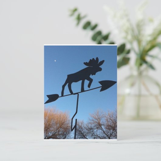 Moose WOthervane Briefkaart (Staand voorkant)
