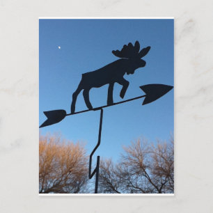 Moose WOthervane Briefkaart