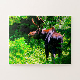 Moose Wyoming Legpuzzel