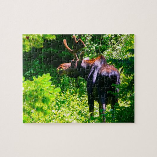 Moose Wyoming Legpuzzel (Horizontaal)