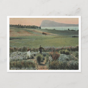 Moosehead Lake ME, Mt Kineo, Boerderij 1910 Briefkaart