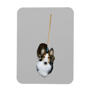 Mop Hond Magneet