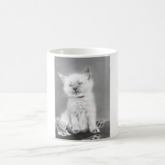 Mop met schattig katje koffiemok