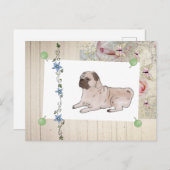  Mops Briefkaart (Voorkant / Achterkant)