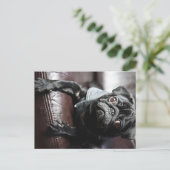 Mops Briefkaart (Staand voorkant)