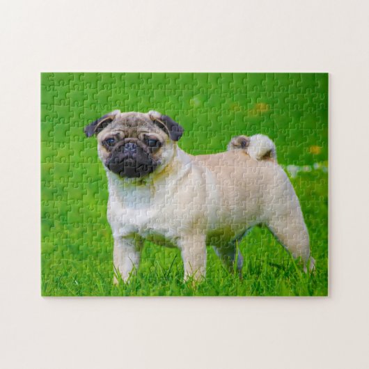 Mops-honden. Legpuzzel (Horizontaal)