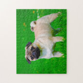 Mops-honden. Legpuzzel (Verticaal)