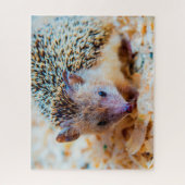 Mopshagedis, Legpuzzel (Verticaal)