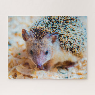 Mopshagedis, Legpuzzel