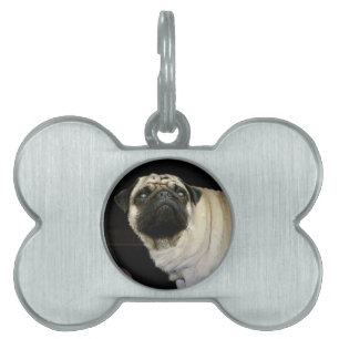 Mopshond & gemorste Mok Huisdierenliefhebbers Hond Huisdieren Naamplaatje