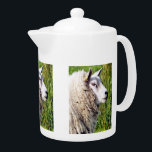MOQUETTE<br><div class="desc">Un design photographique d'un mouton mignon.</div>