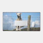 MOQUETTE (Clavier et souris)