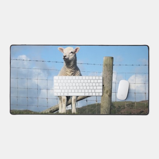 MOQUETTE (Clavier et souris)