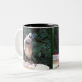 Moqueur de milliard et tasse de geai bleu (Devant gauche)