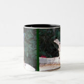 Moqueur de milliard et tasse de geai bleu (Centre)